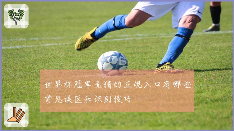 世界杯冠军竞猜的正规入口有哪些常见误区和识别技巧
