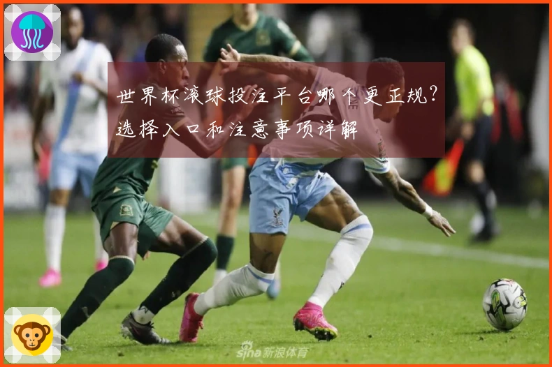 世界杯滚球投注平台哪个更正规？选择入口和注意事项详解