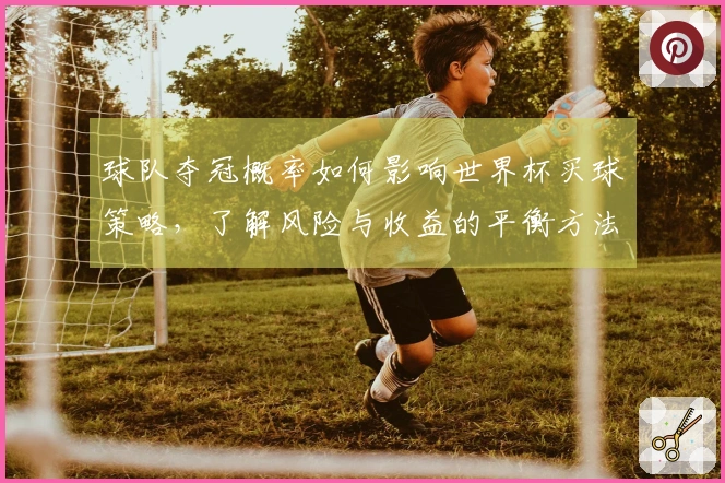 球队夺冠概率如何影响世界杯买球策略，了解风险与收益的平衡方法