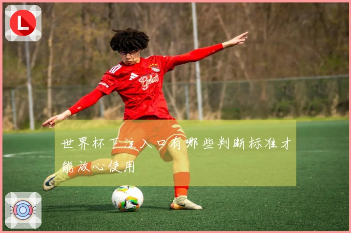 世界杯下注入口有哪些判断标准才能放心使用