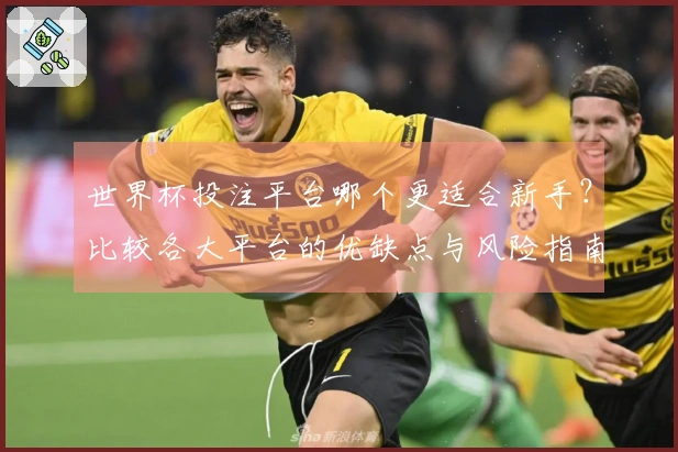 世界杯投注平台哪个更适合新手？比较各大平台的优缺点与风险指南
